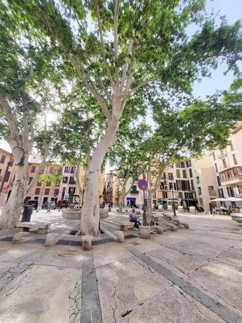 Pis de lloguer a Carrer del Vi 20, imagen 15