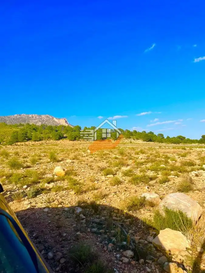 Terrenos y solares en venta en Vélez-Blanco, imagen 7