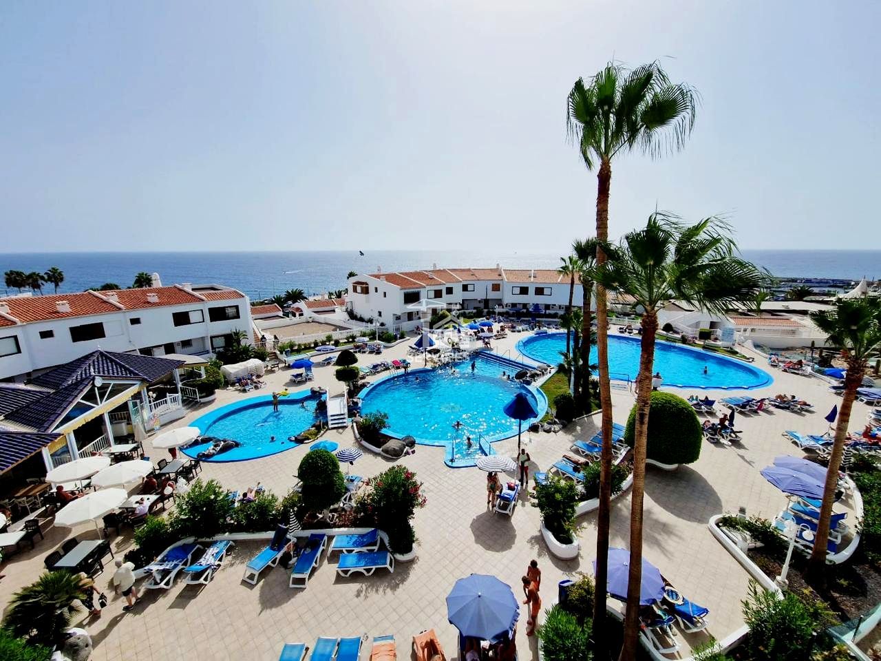 Swimming pool of Flat for sale in Adeje  with Terrace, Furnished and Community pool