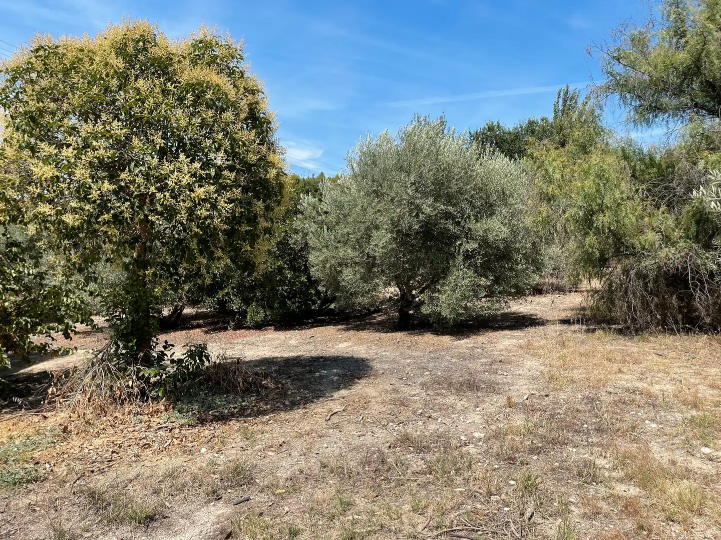 Terrenos y solares en venta en Úbeda, imagen 9