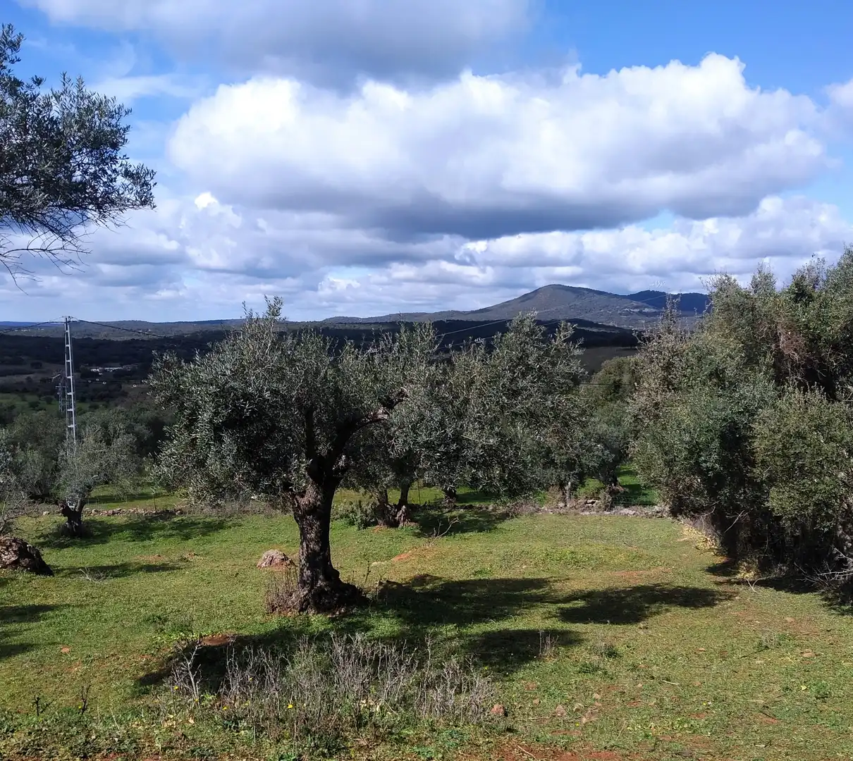 Terreni e lotti in vendita a Jerez de los Caballeros, imagen 3