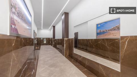 Photo 5 of Apartment to share in Avenida Habaneras - Curva de Palangre, Alicante