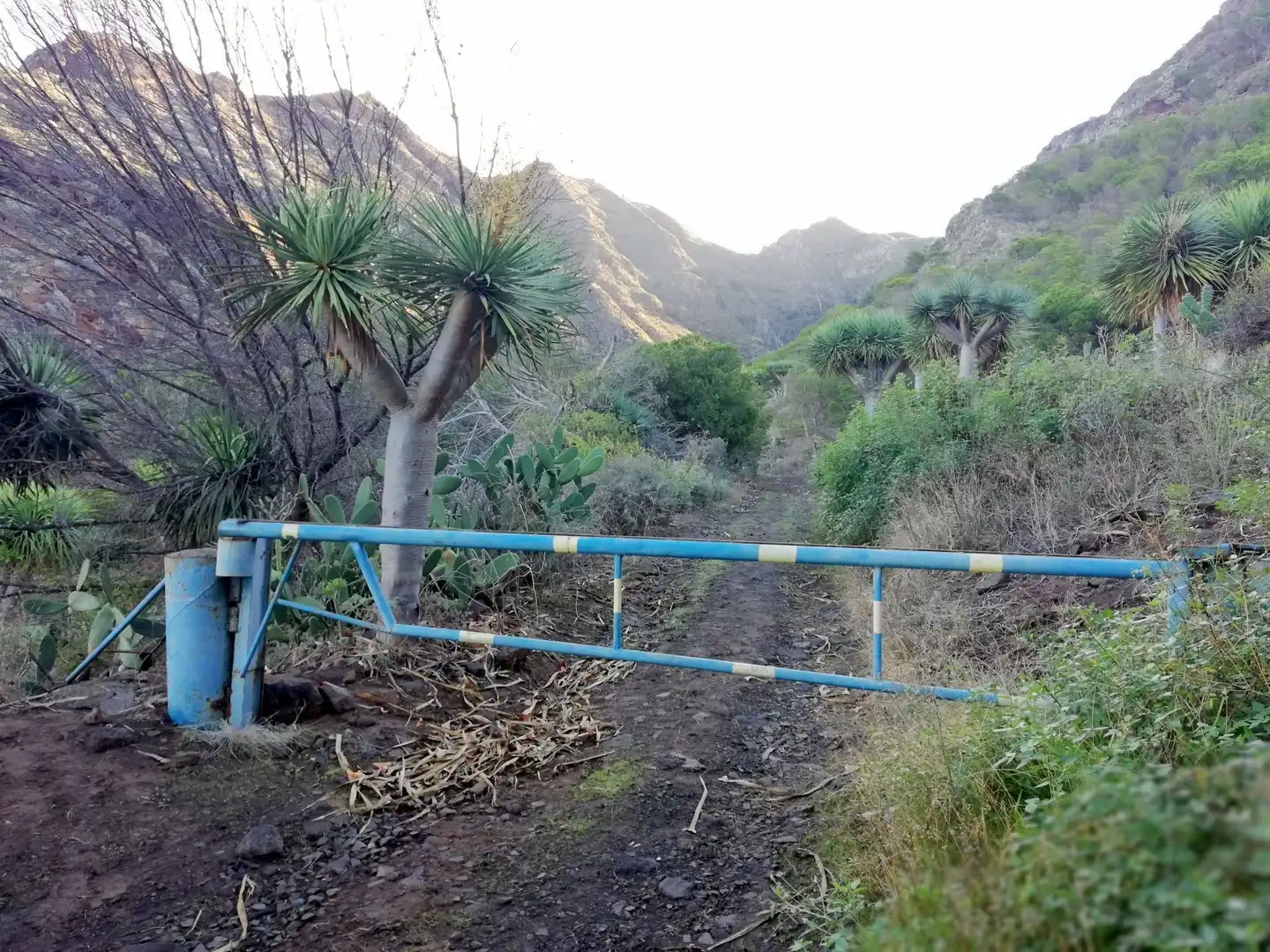 Terreno en venta en Isogue, polígono 7, parcela 39, 1, Punta del Hidalgo