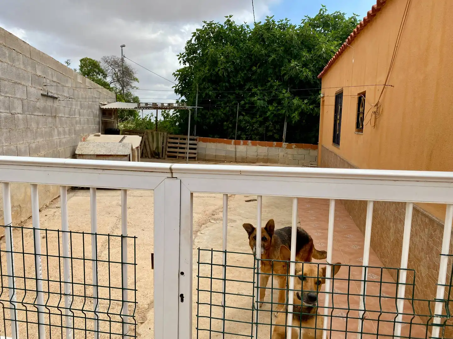 Vista exterior de Casa o xalet en venda en Cartagena amb Aire condicionat, Calefacció i Jardí privat