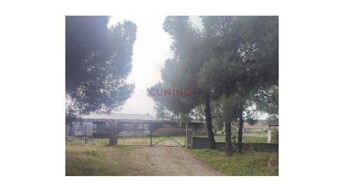 Venta de Nave industrial con parcela situada en Almoharín, Cáceres.