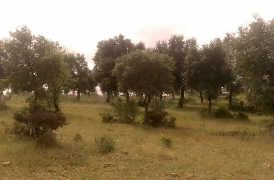Casa rústica en venda a Valverde del Camino, imagen 14