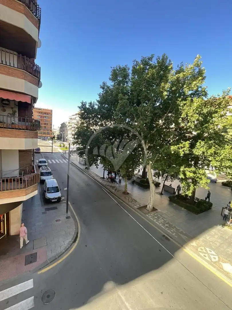 PISO EN VENTA EN PASEO DE LINAREJOS, imatge 3