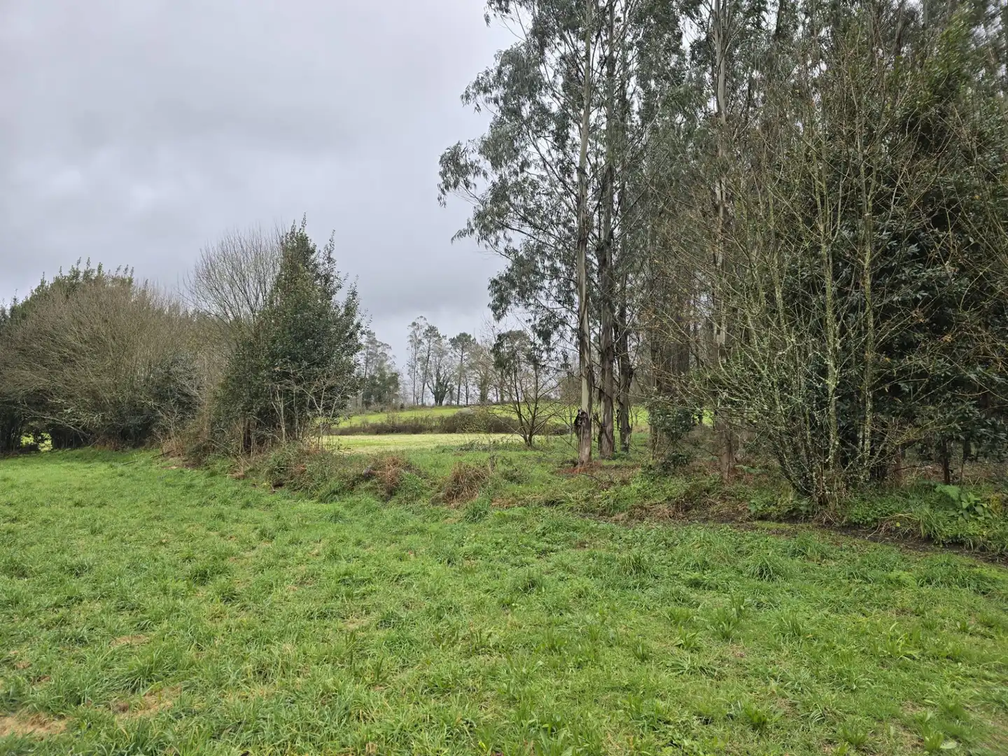 Finca rústica en venda en Cerceda amb Jardí privat