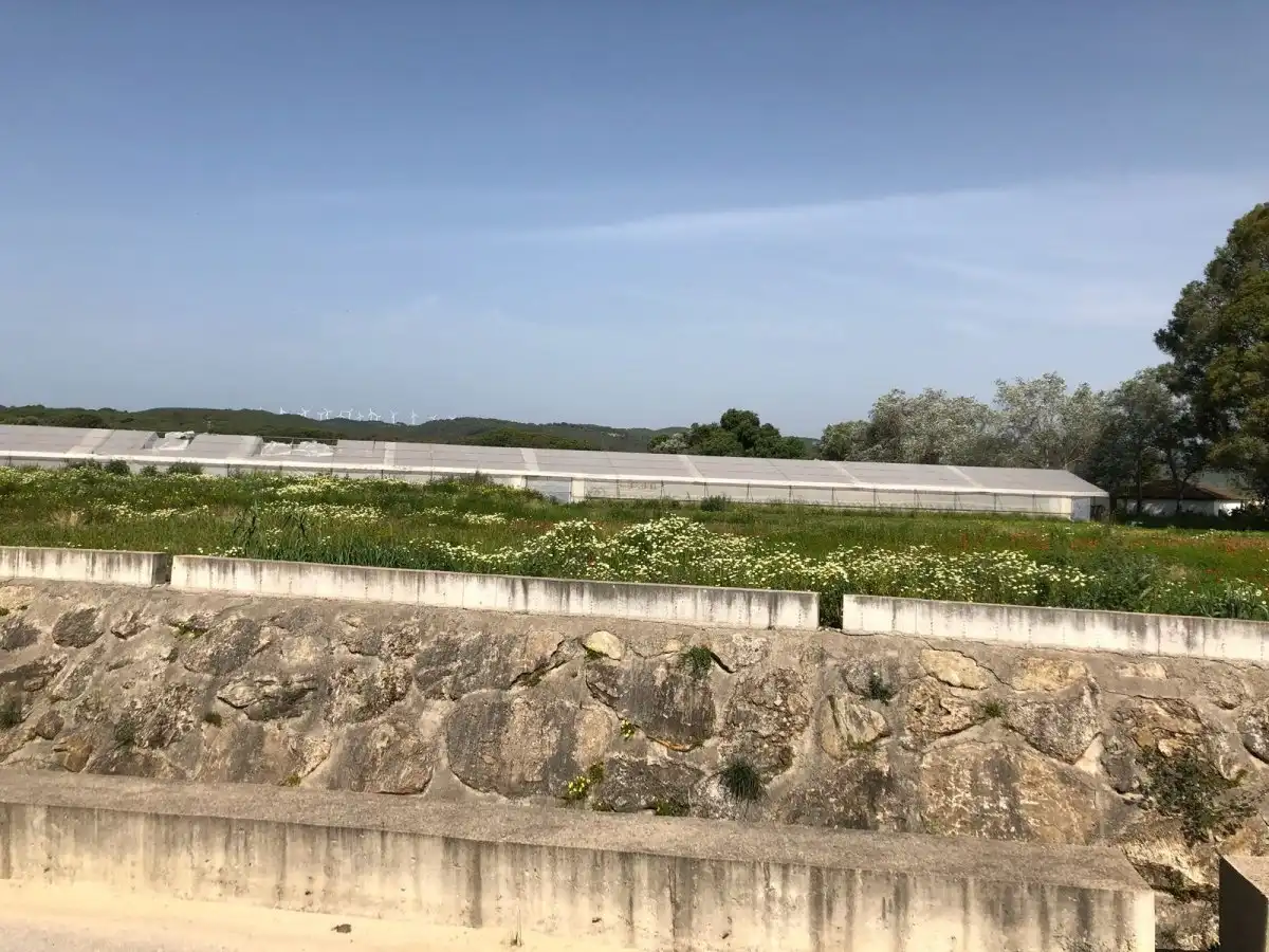 Terreni e lotti in vendita a Barbate ciudad, imagen 12