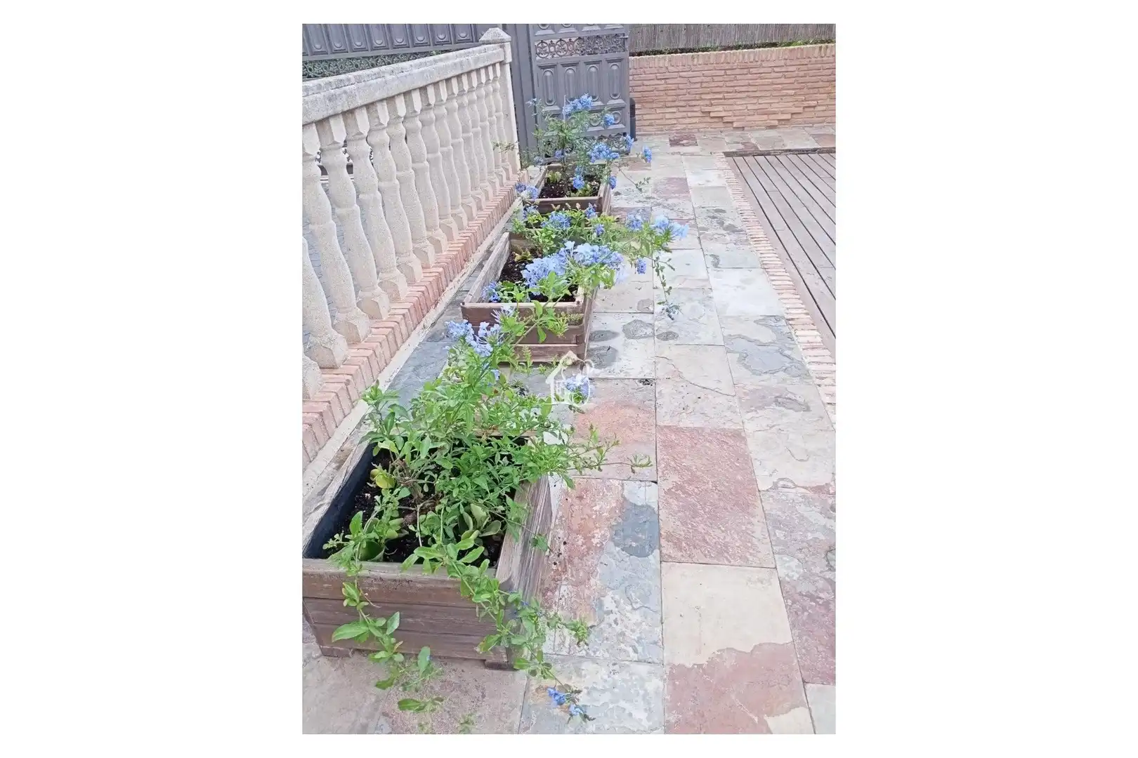 Terraza de Casa o chalet de alquiler en Orihuela con Aire acondicionado, Calefacción y Jardín privado