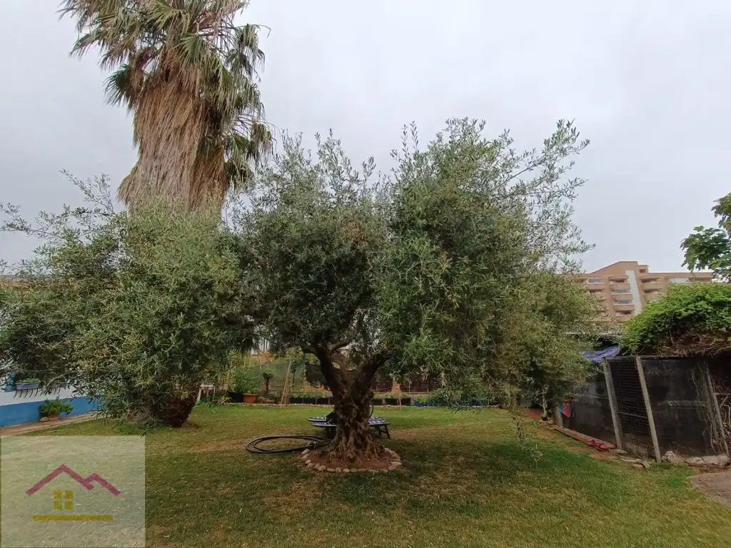 Casa o xalet en venda a Urbanizacion Pai Sector Torrelasal, Cabanes