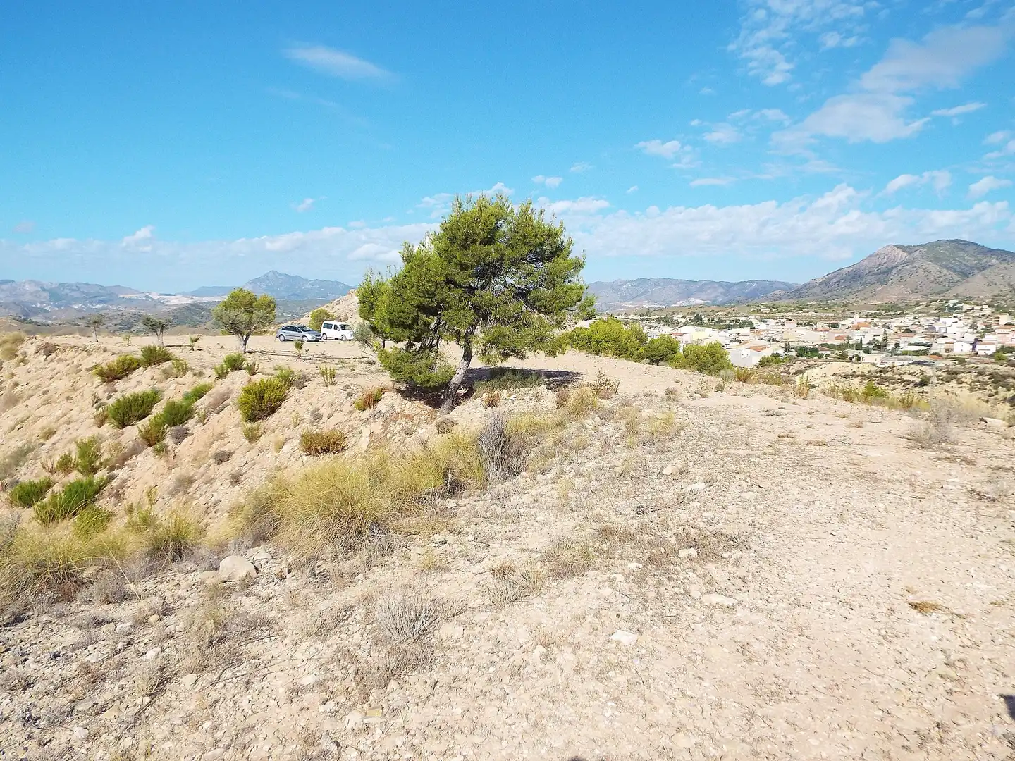Lands and plots for sale in Abanilla, imagen 3