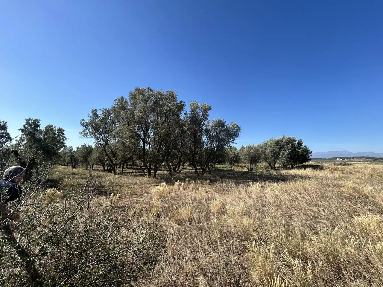 Finca rústica en venta en Ablitas