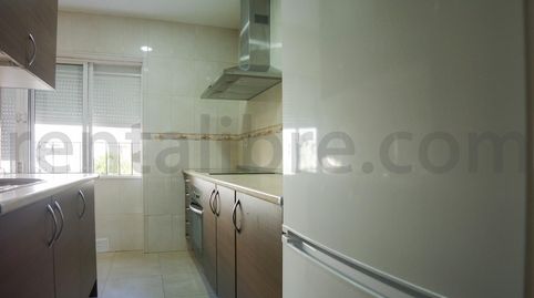 Photo 4 of Flat for rent in Plaza de Toros, Jerez de la Frontera