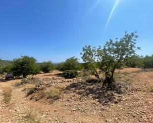 Land for sale in La Pobla de Montornès  