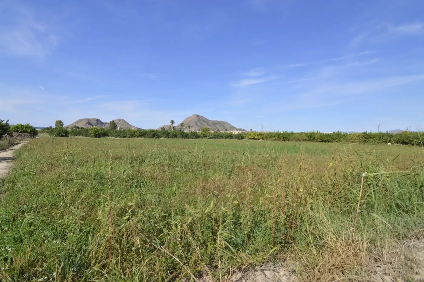 Residencial en venta en N/A, -1, Santomera