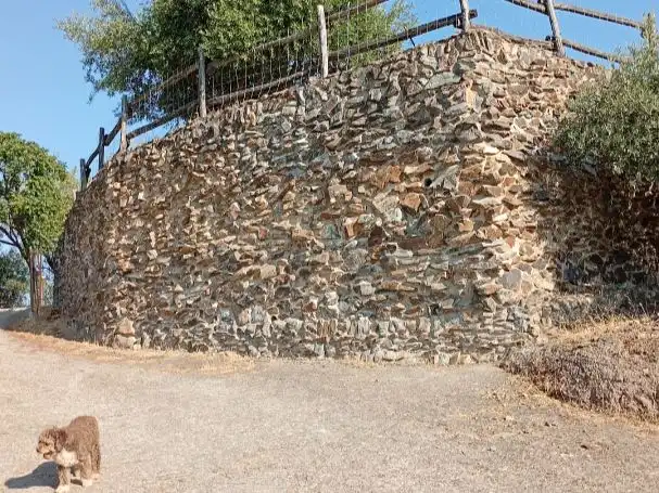 Haus mit Pool zum Verkauf in Calle de Antonio Machado 5, imagen 4