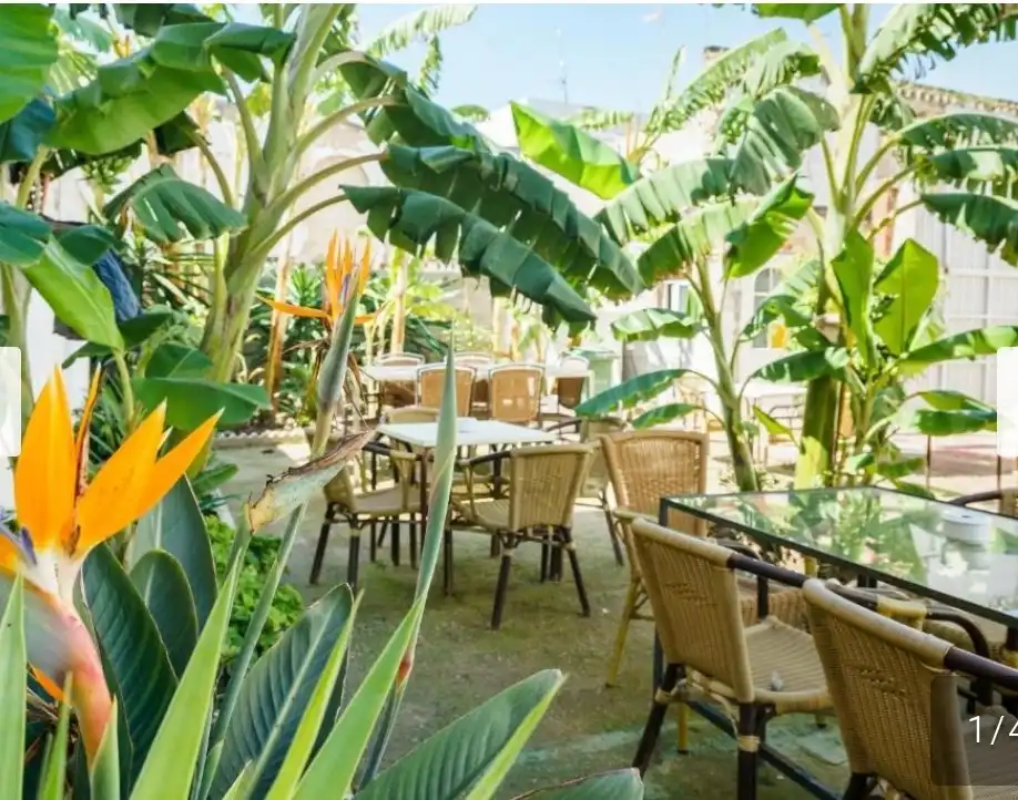 Hotel for sale in Centro, imagen 25