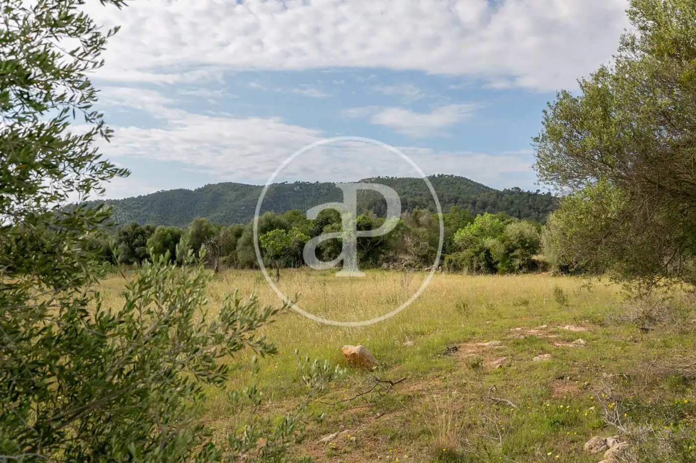 Terreny residencial en venda a Av. Montferrutx, imagen 7
