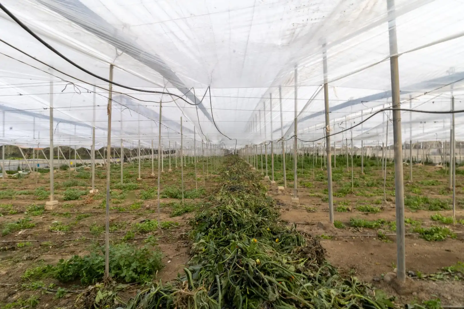 Jardí de Residencial en venda en Alhabia