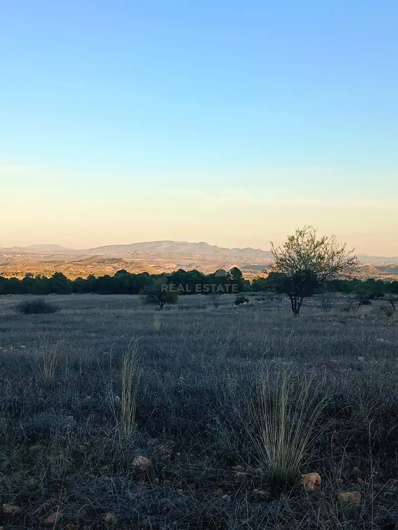 Terreno en venta en Lorca