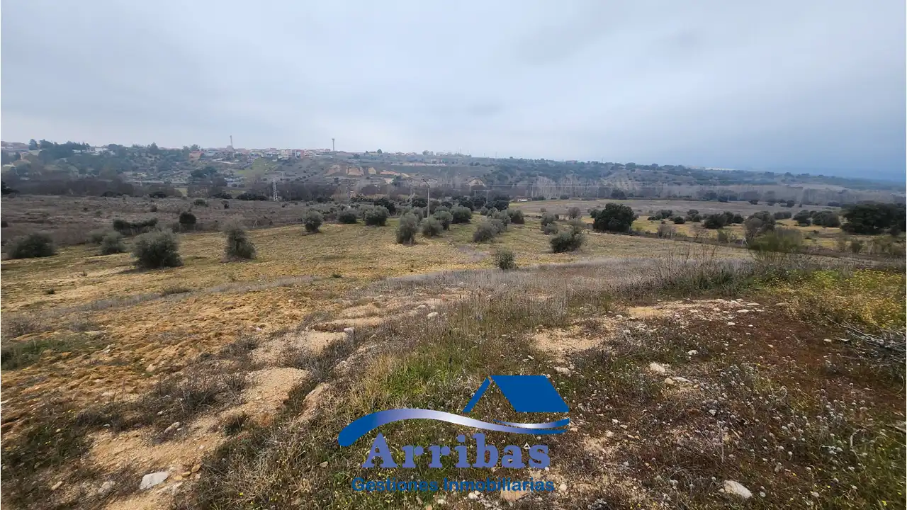 Country homes for sale in Escalona