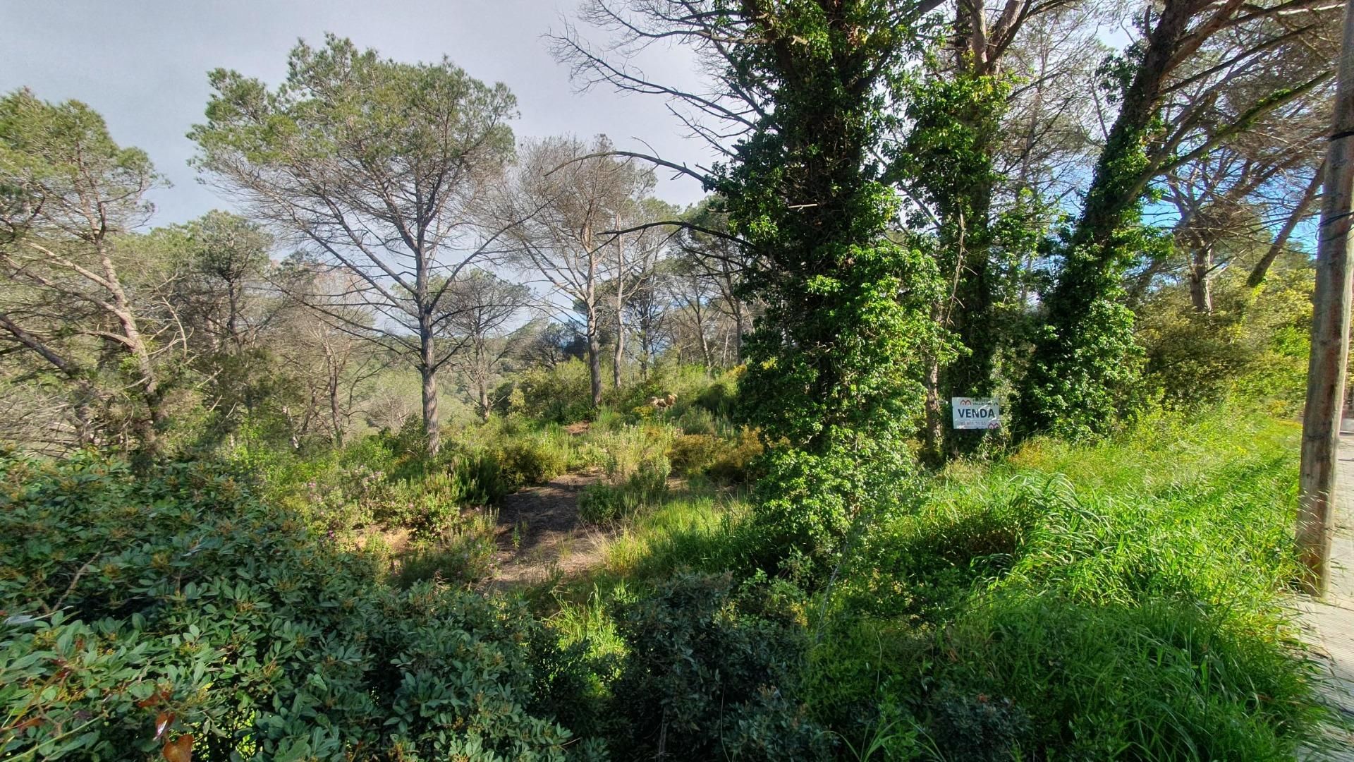 Residencial en venda a Carrer de Sitges, 201, Cabrera d'Anoia