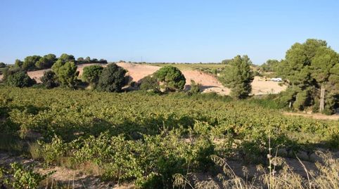 VINYA EN VENDA AMB POSSIBILITAT DEDIFICAR, immagine 4