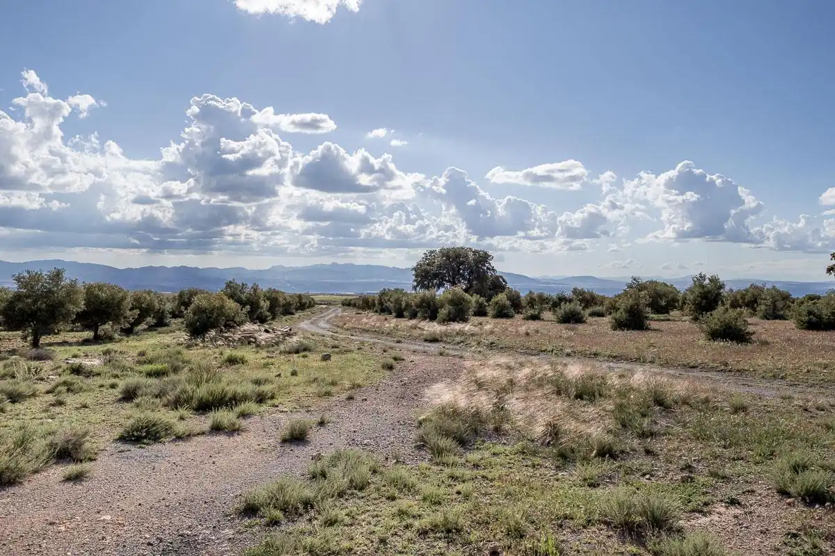 Rustikales Grundstück zum Verkauf in Camino la finca el launero guadix, imagen 41