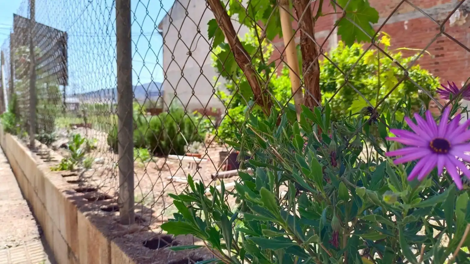 Jardín de Terreno en venta en Murcia