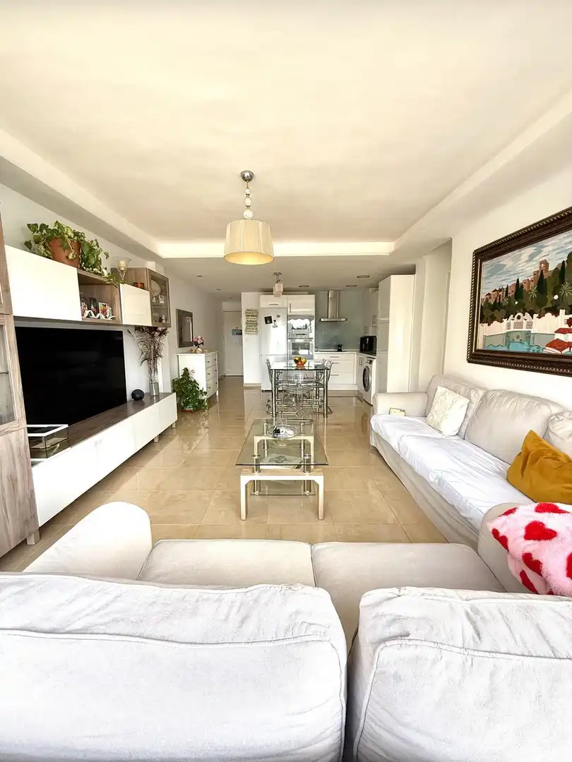 Sala d'estar de Pis en venda en Málaga amb Aire condicionat, Calefacció i Terrassa