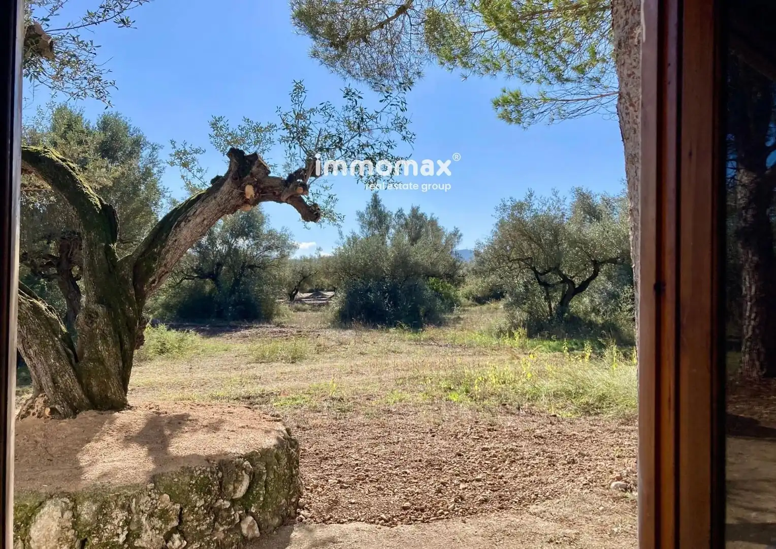 Rural land for sale in Godall, imagen 12