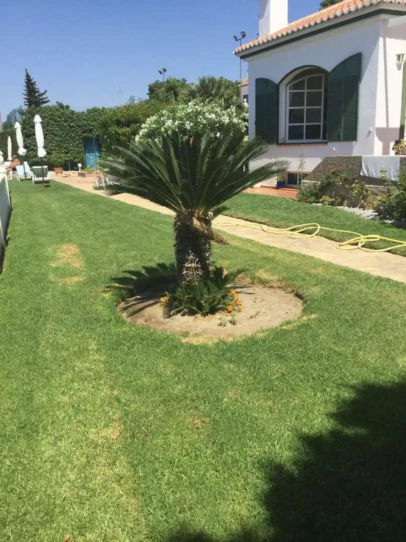 Chalet con piscina en venta en Urbanización Santa Rosa, imagen 17