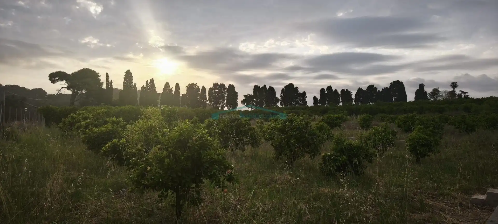 Terreno rustico in vendita a Plaza Numero, imagen 9