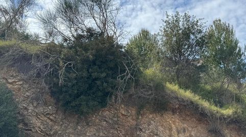 Foto 4 von Residential zum Verkauf in Vil-la Romana, Tossa de Mar pueblo, Tossa de Mar