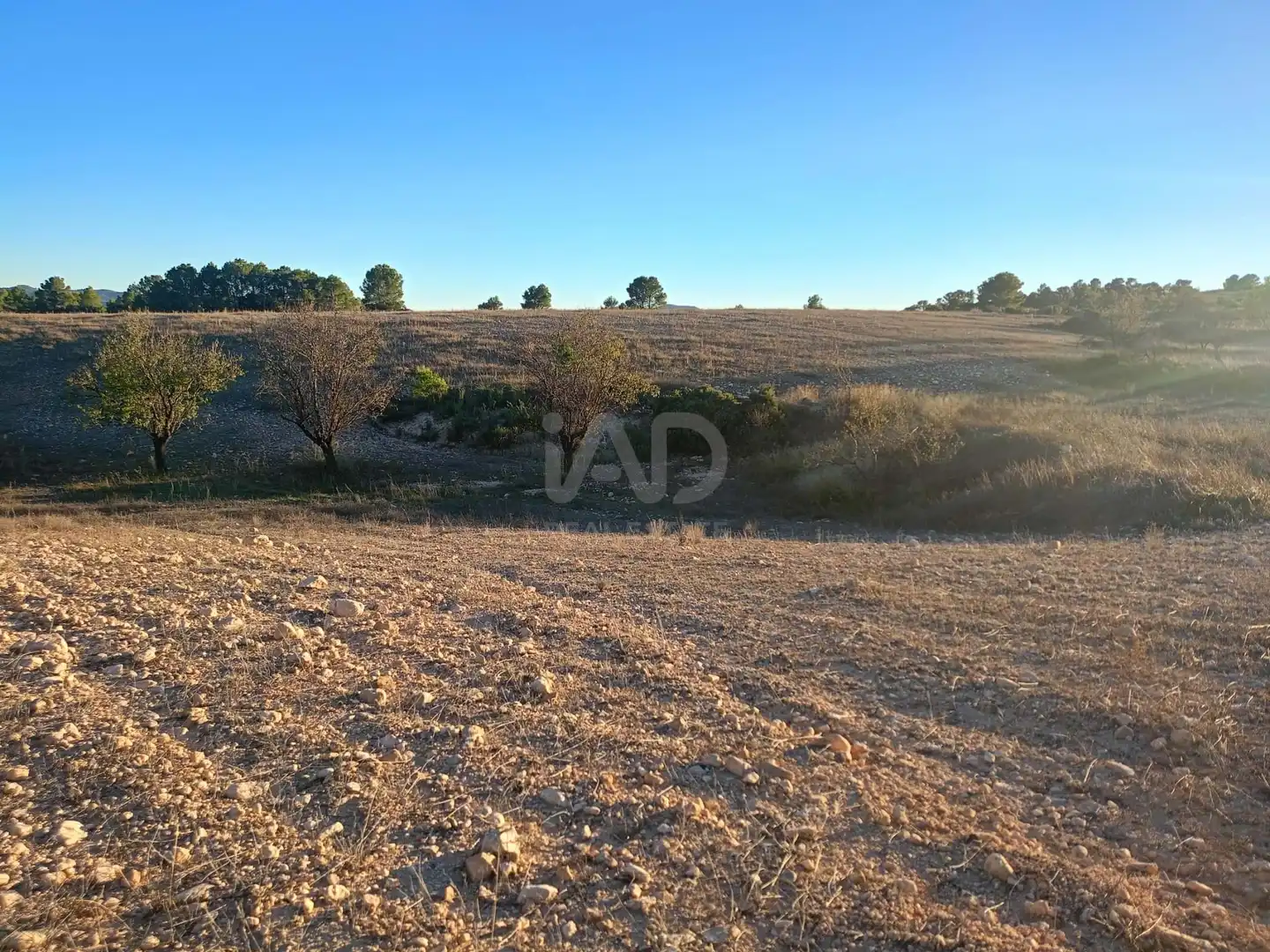 Terreno en venta en Lorca