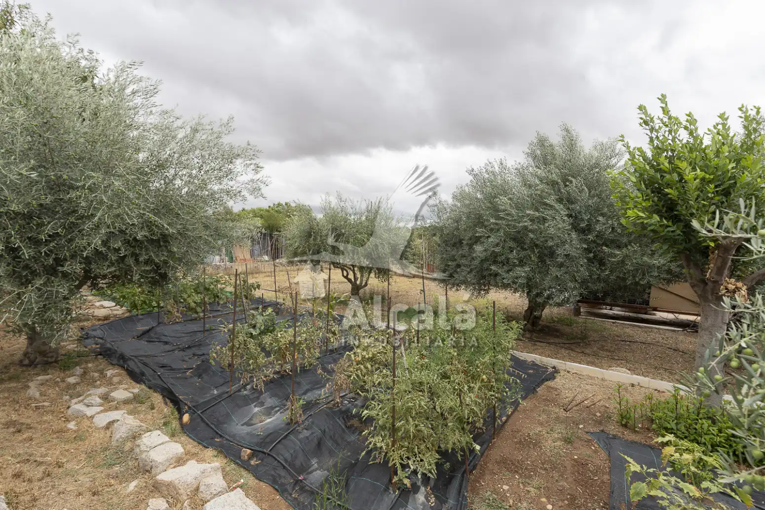 Casa amb piscina en venda a Serracines, imagen 72