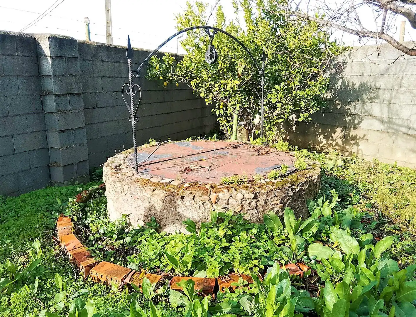 Jardí de Casa o xalet en venda en Coria amb Piscina