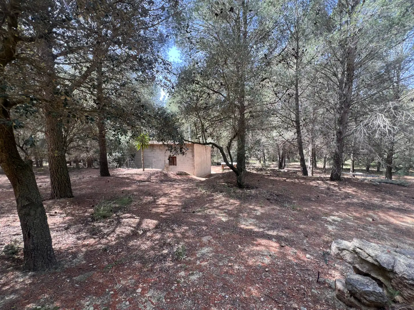 Terreno rústico en venta en Castellvell del Camp, imagen 16