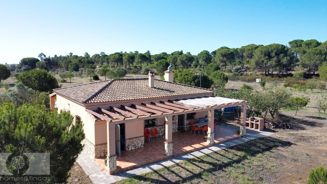 Jardí de Finca rústica en venda en Lepe amb Aire condicionat