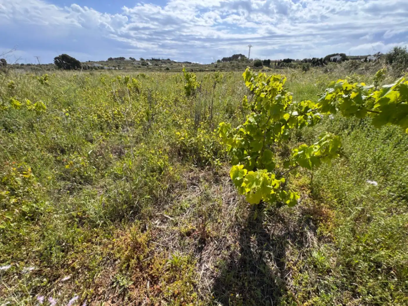 Residencial en venda en Benissa