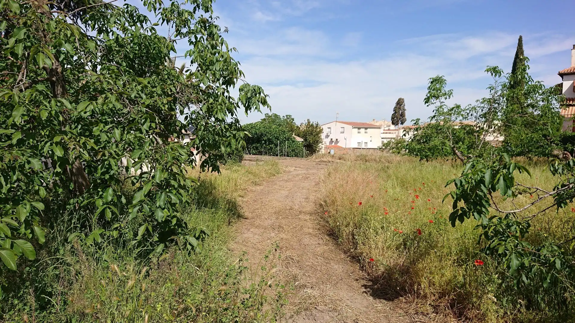 Grundstücke und Bauplätze zum Verkauf in Calle de los Huertos, imagen 17