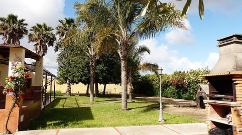 Foto 2 de Finca rústica en venta en Polígono 15 Paraje 286 Reyertas, La Jara, Sanlúcar de Barrameda