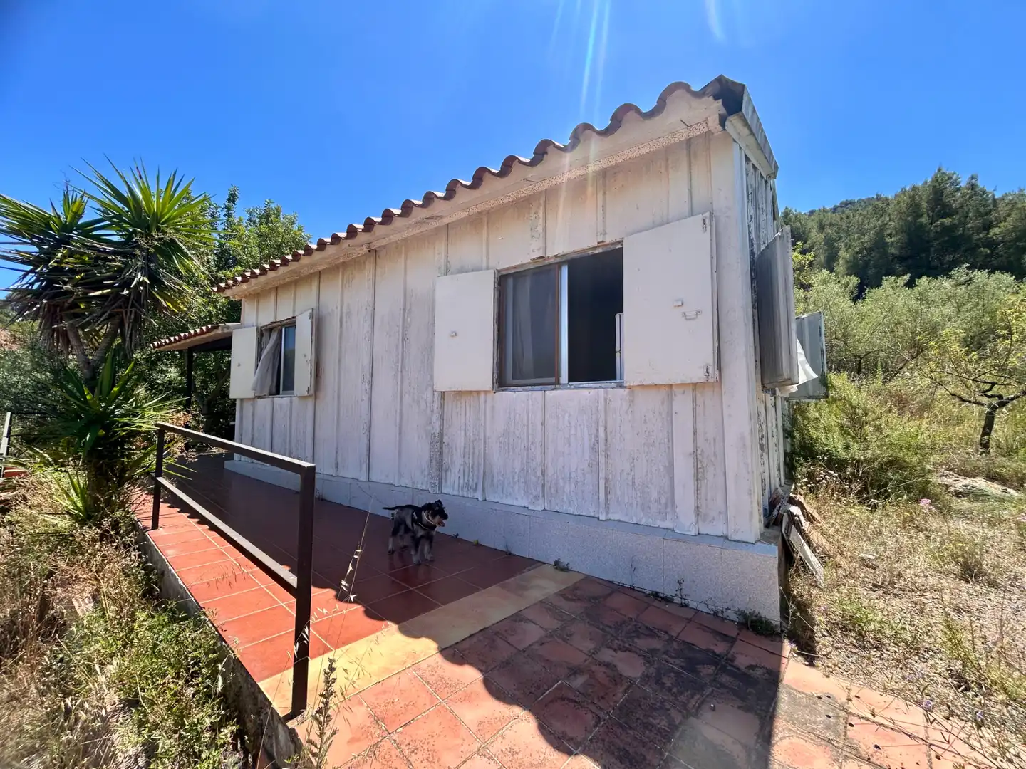 Exterior view of Country homes for sale in Alfondeguilla