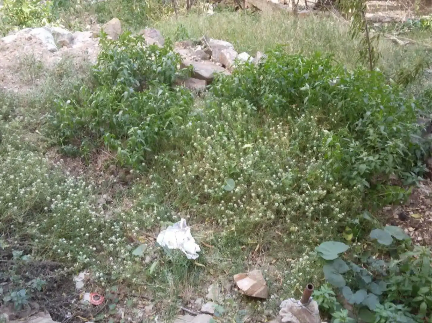 Terreno en venta en Barcelona