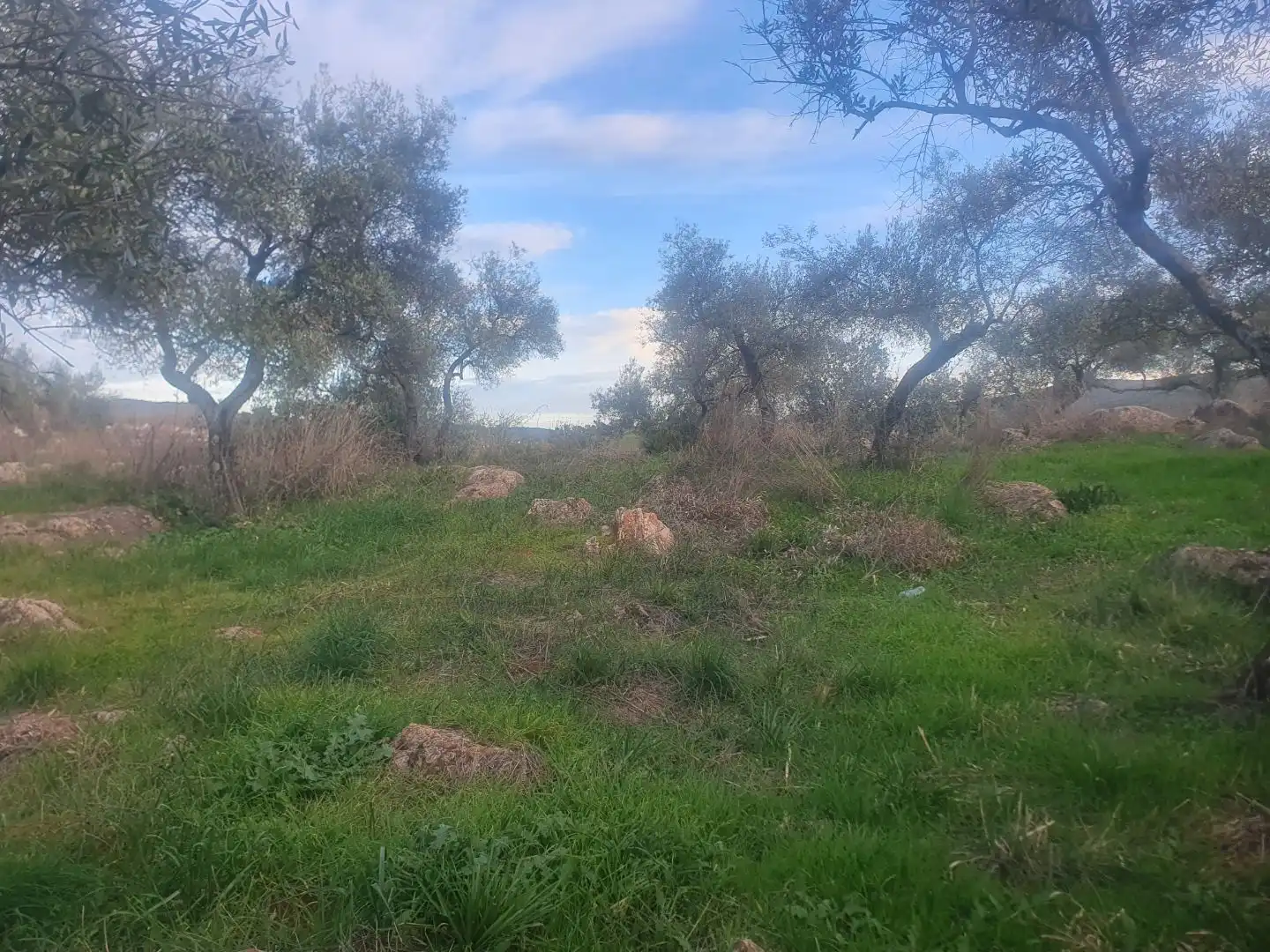 Terreno en venta en Guadalcanal