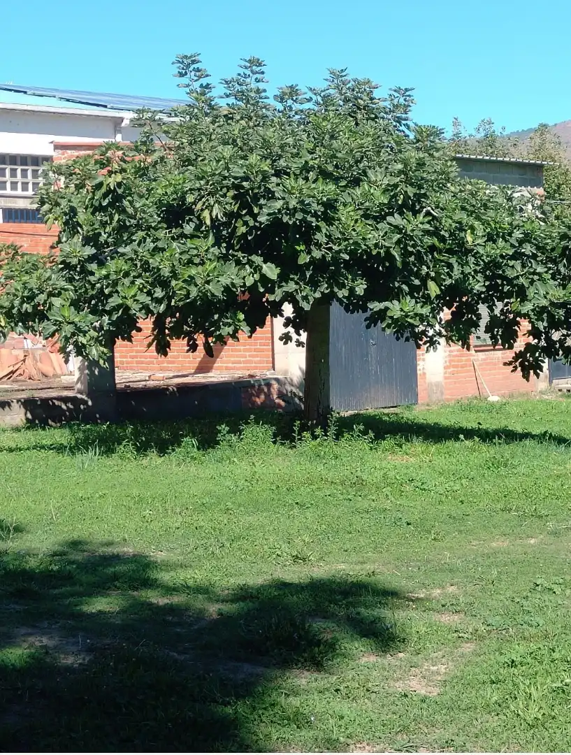 Casa o chalet en venta en Paseo de Recoletos, 32, El Tiemblo