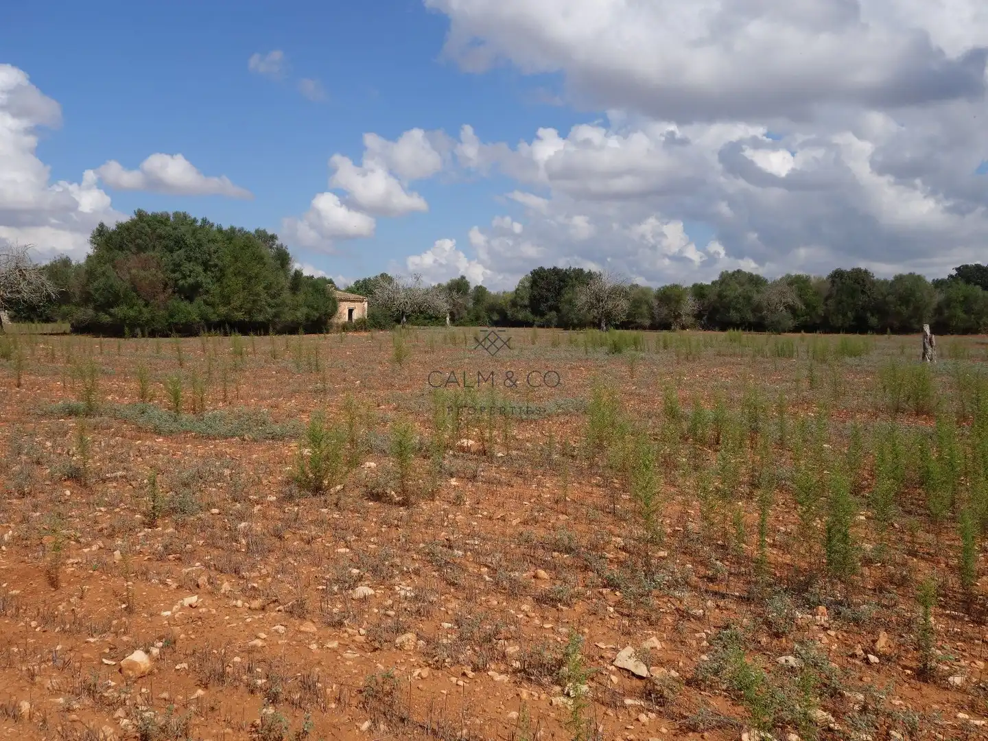 Residential land for sale in Felanitx Poble, imagen 4