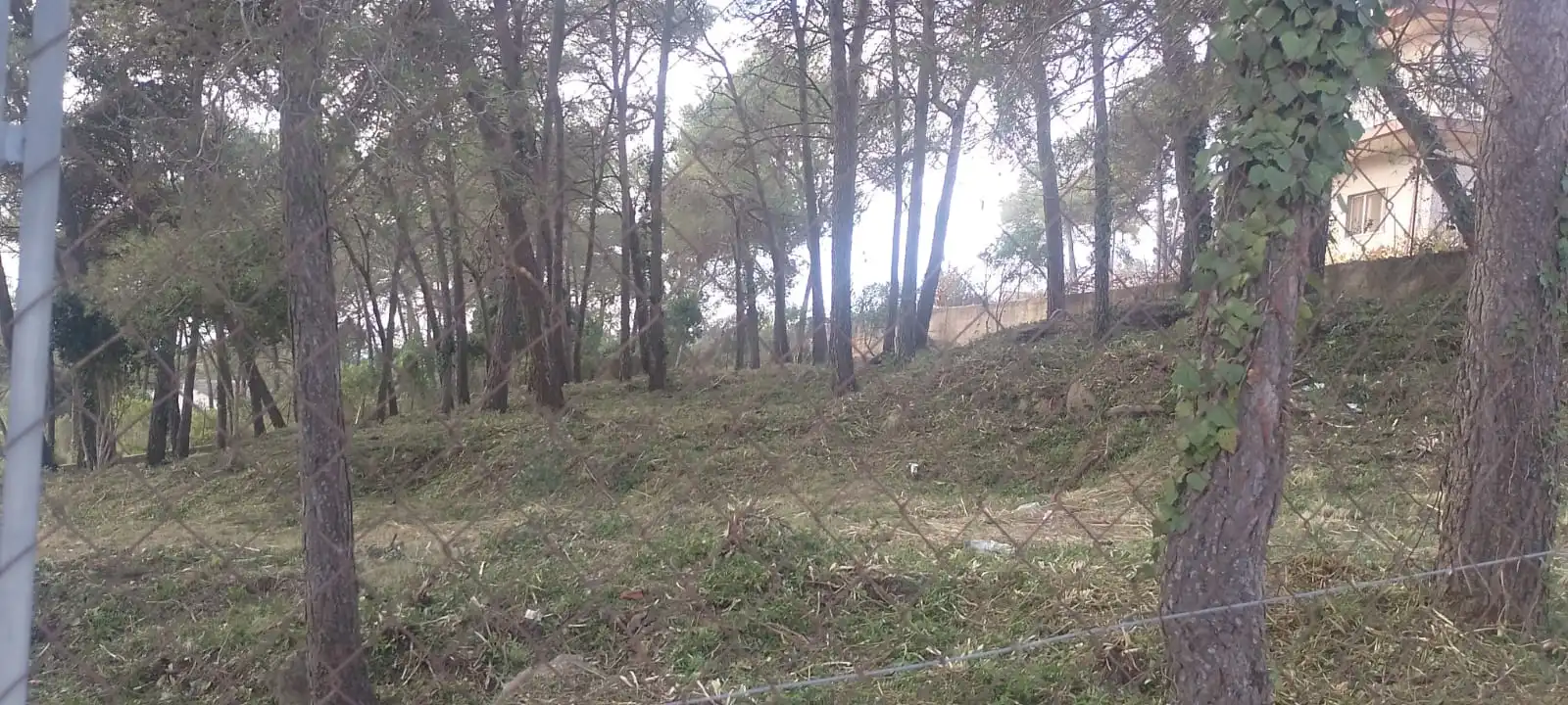 Terreny residencial en venda a Olesa de Bonesvalls, imagen 2