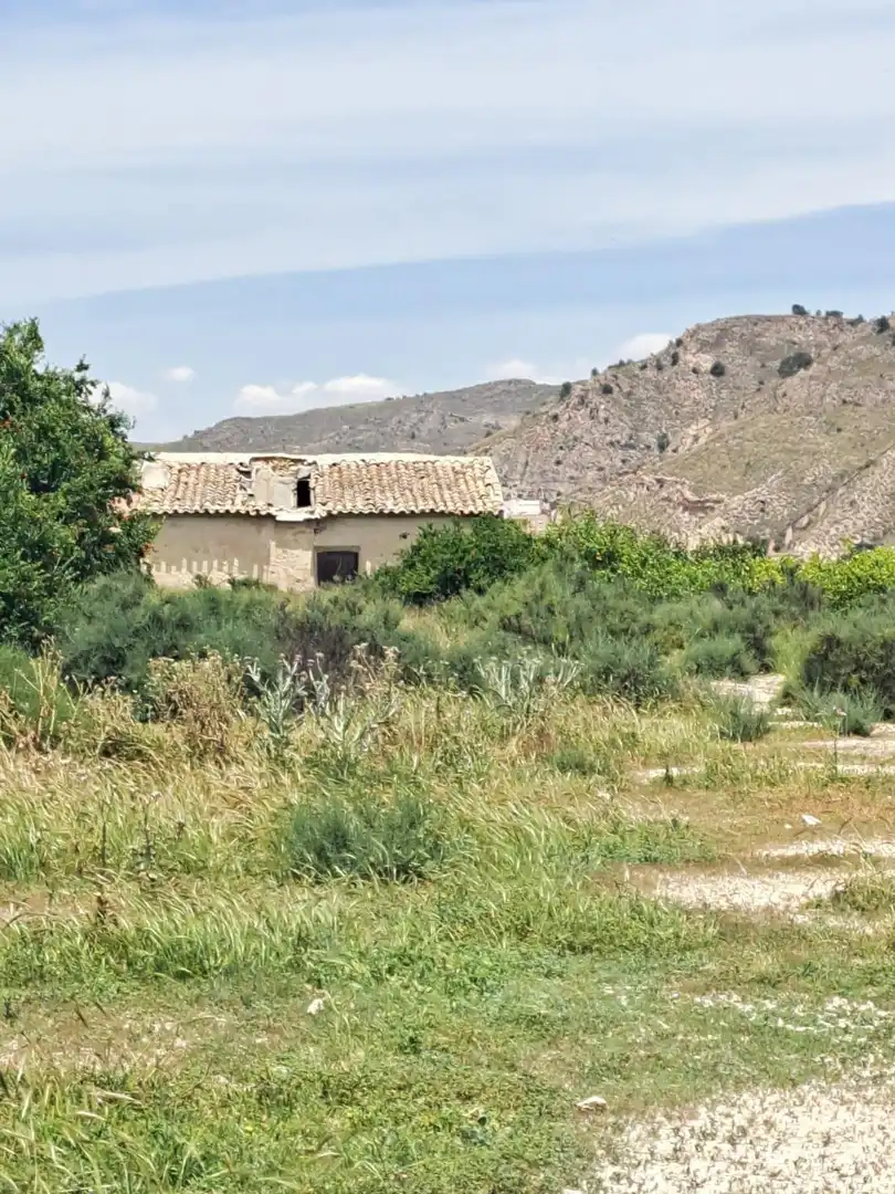 Residential land for sale in Abarán, imagen 13